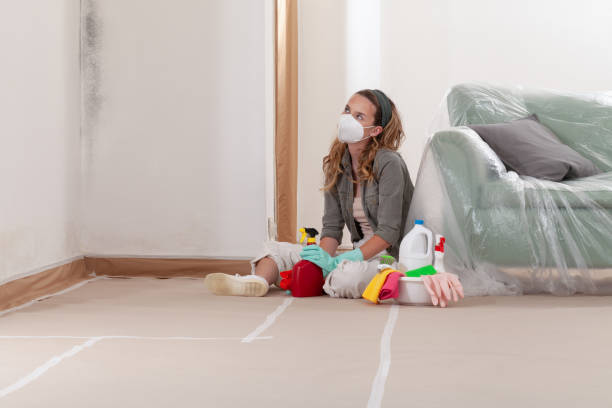 Reliable Mold Remediation contractor in Murfreesboro, TN by WQB Mold Removal